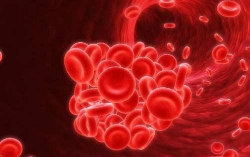 兄弟姐妹或患有血癌的孩子會增加自己的風險