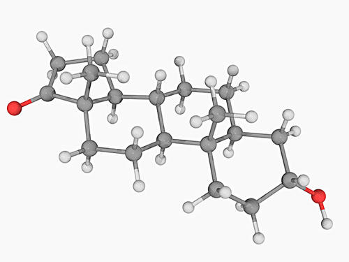 沒有證據(jù)表明睪丸激素會(huì)降低認(rèn)知同理心