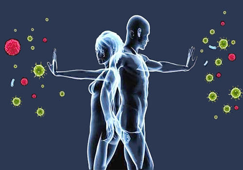 科學(xué)家發(fā)現(xiàn)了一種機(jī)制可以保護(hù)我們的身體免受免疫系統(tǒng)不受控制的活動
