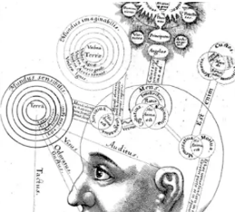 科學(xué)家們說我們的大腦有一個(gè)基本的算法可以實(shí)現(xiàn)我們的智力