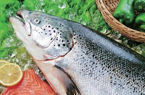 吃魚(yú)能保護(hù)我們的大腦免受空氣污染嗎