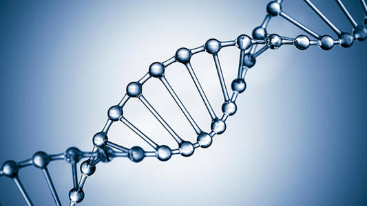 科學(xué)家發(fā)現(xiàn)了一種運動蛋白可以幫助細(xì)胞在需要時獲取DNA信息