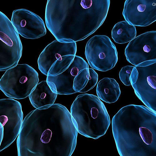 Nanoscaffold開(kāi)發(fā)用于增強(qiáng)CNS干細(xì)胞療法