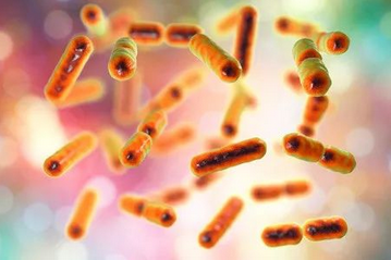 腸道微生物組的多樣性可以通過(guò)飲食習(xí)慣來(lái)解釋