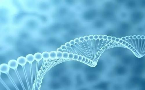 心臟病的基因檢測可以幫助患者和家人識(shí)別風(fēng)險(xiǎn)